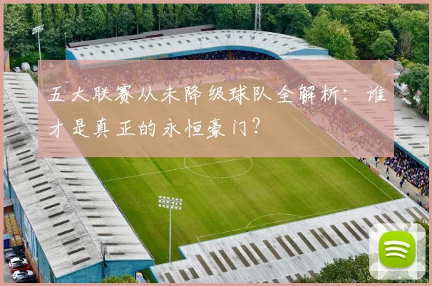 五大联赛从未降级球队全解析：谁才是真正的永恒豪门？