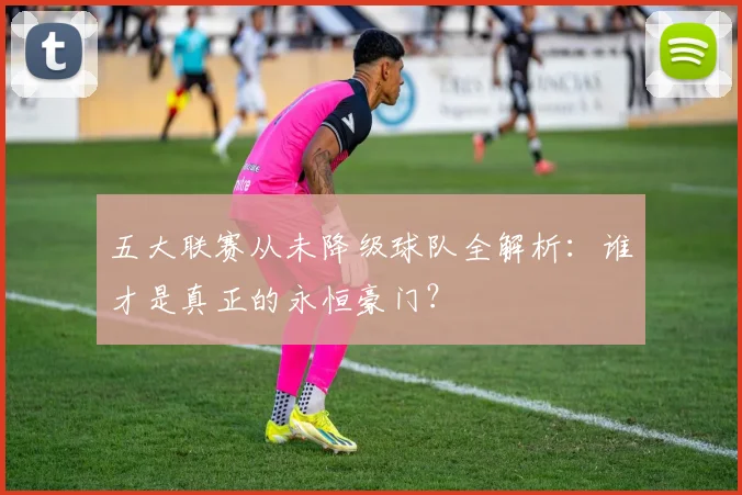 五大联赛从未降级球队全解析:谁才是真正的永恒豪门?